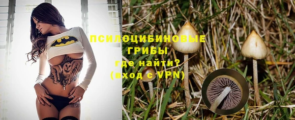 марки nbome Бородино