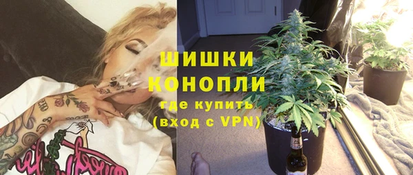 дмт Верея