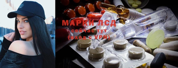 дмт Верея