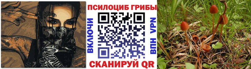 Галлюциногенные грибы мицелий  купить наркотики сайты  Новохопёрск 